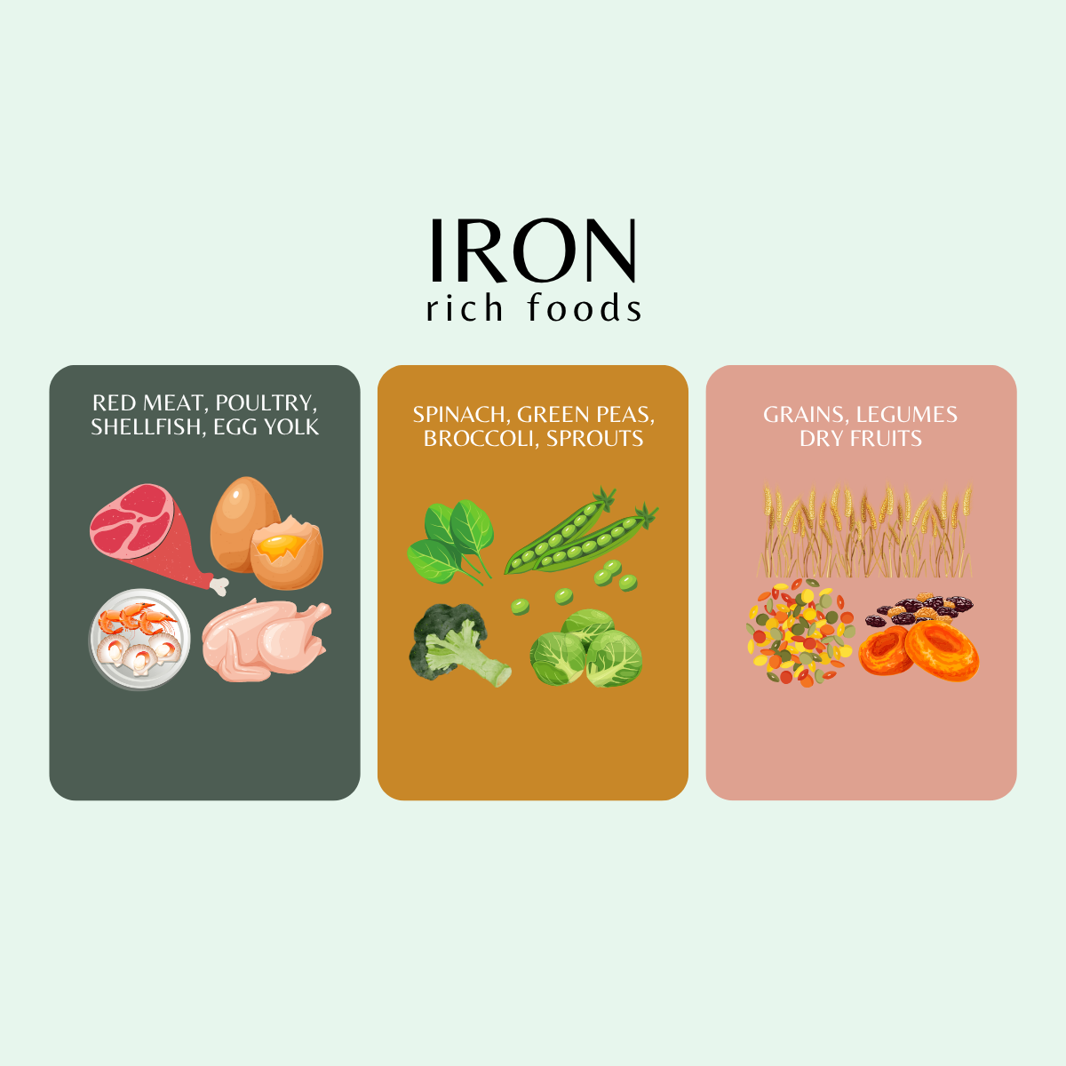 A poster of colourful iron rich foods.