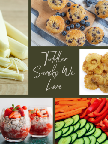 Images of toddler snacks we love, featuring cheese sticks, blueberry muffins, soft-dried pineapple rings, strawberry chia pudding, and sliced veggies.